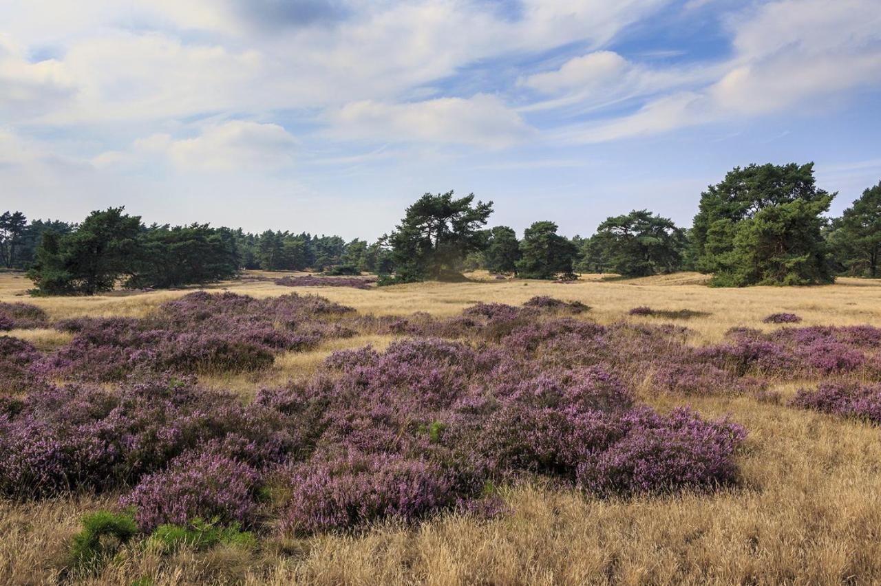 Chalet Op De Veluwe # Linde Putten Exterior foto
